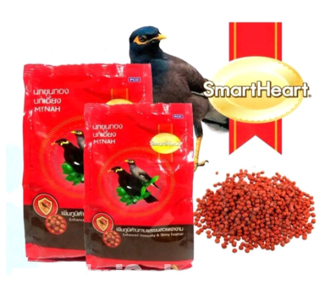 Smart heart for Moina bird food-1Kg